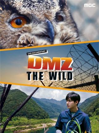 DMZ, The Wild poster