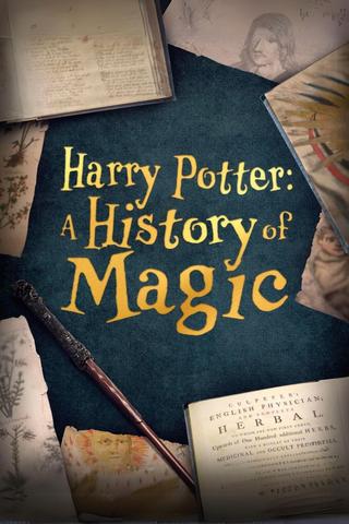 Harry Potter: A History Of Magic poster