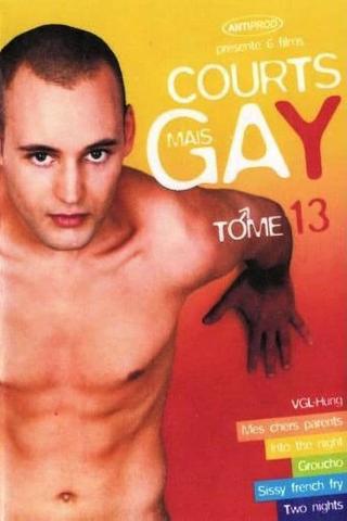 Courts mais Gay : Tome 13 poster