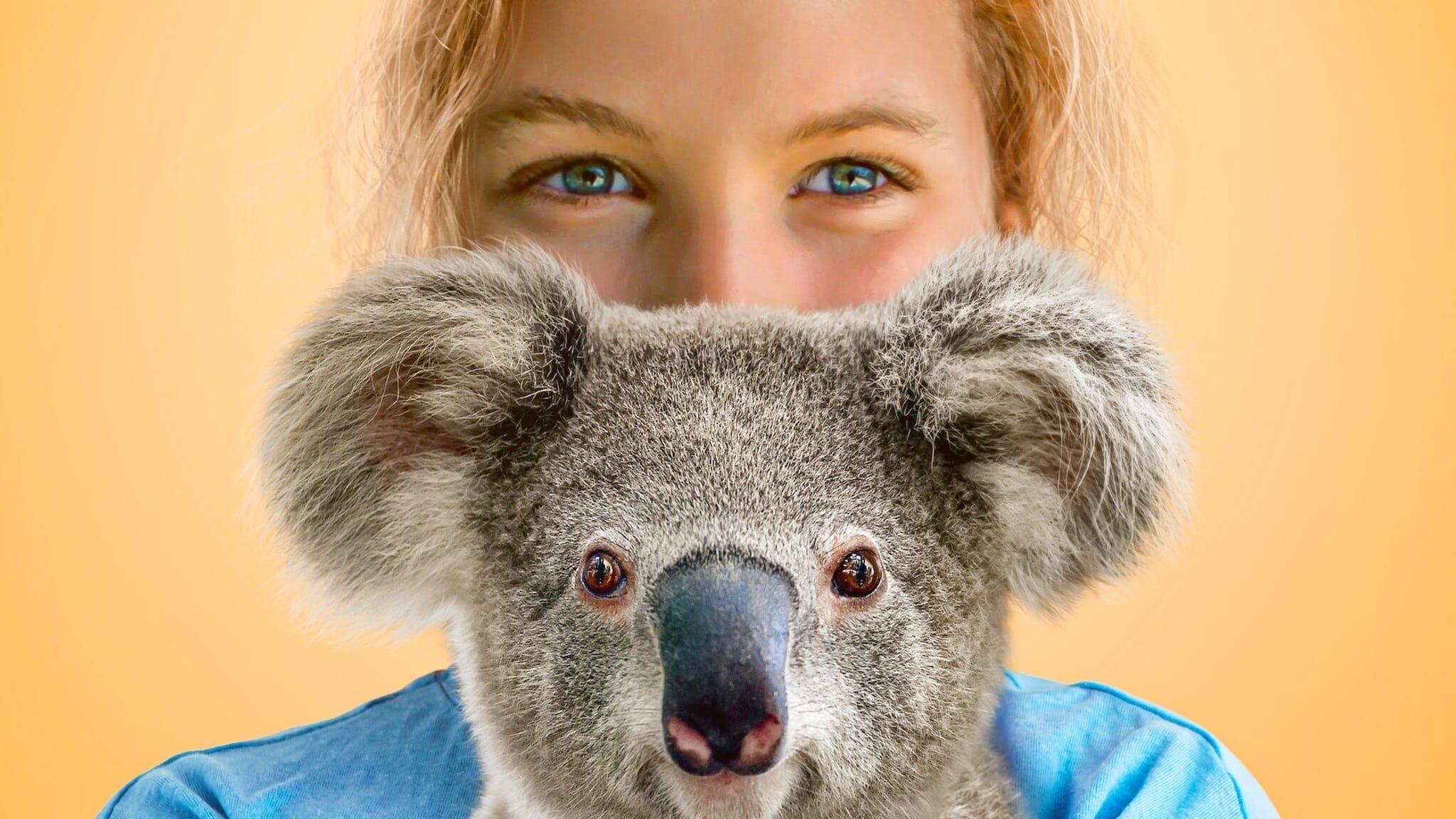 Izzy's Koala World backdrop