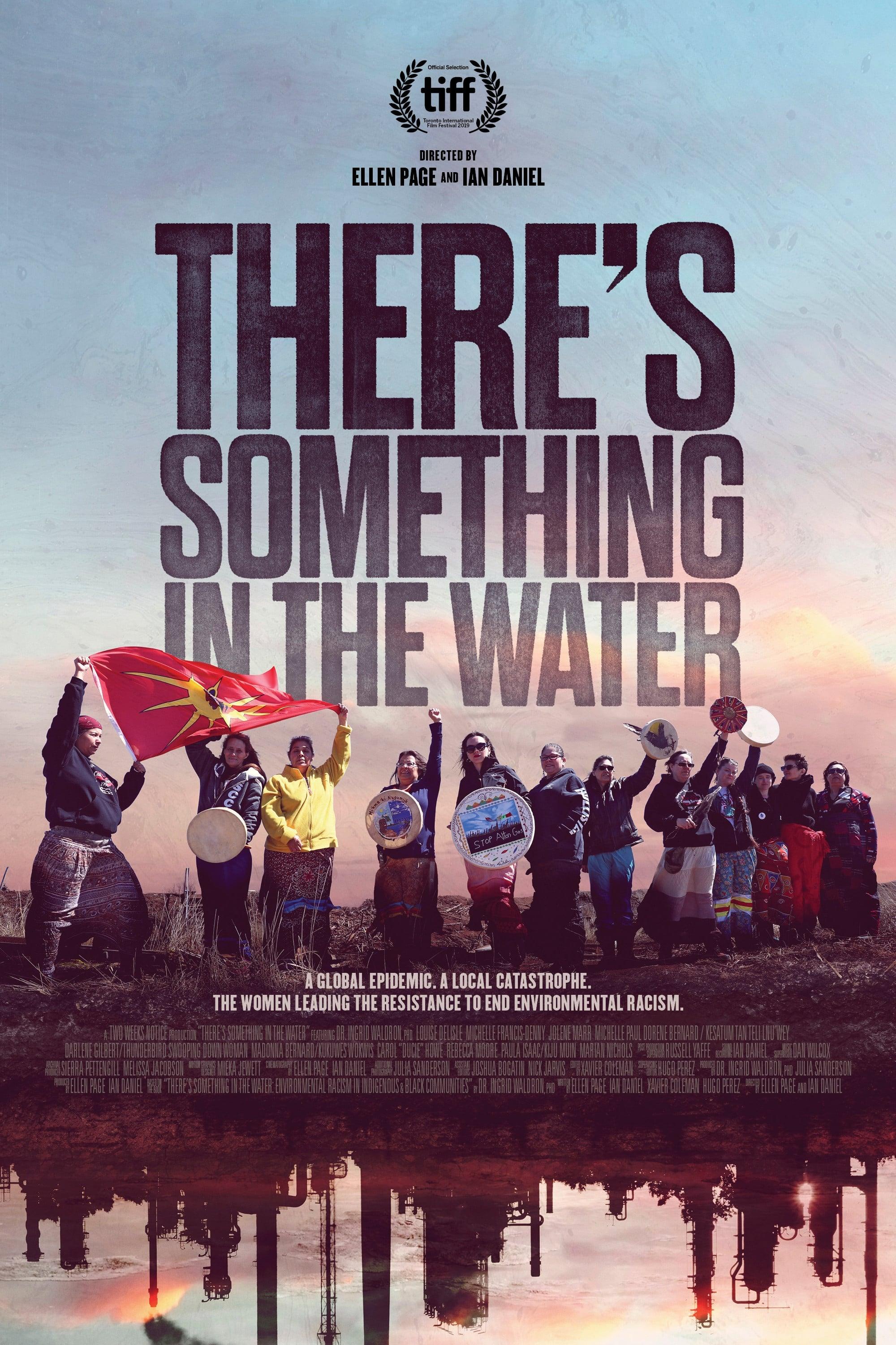 There's Something in the Water poster