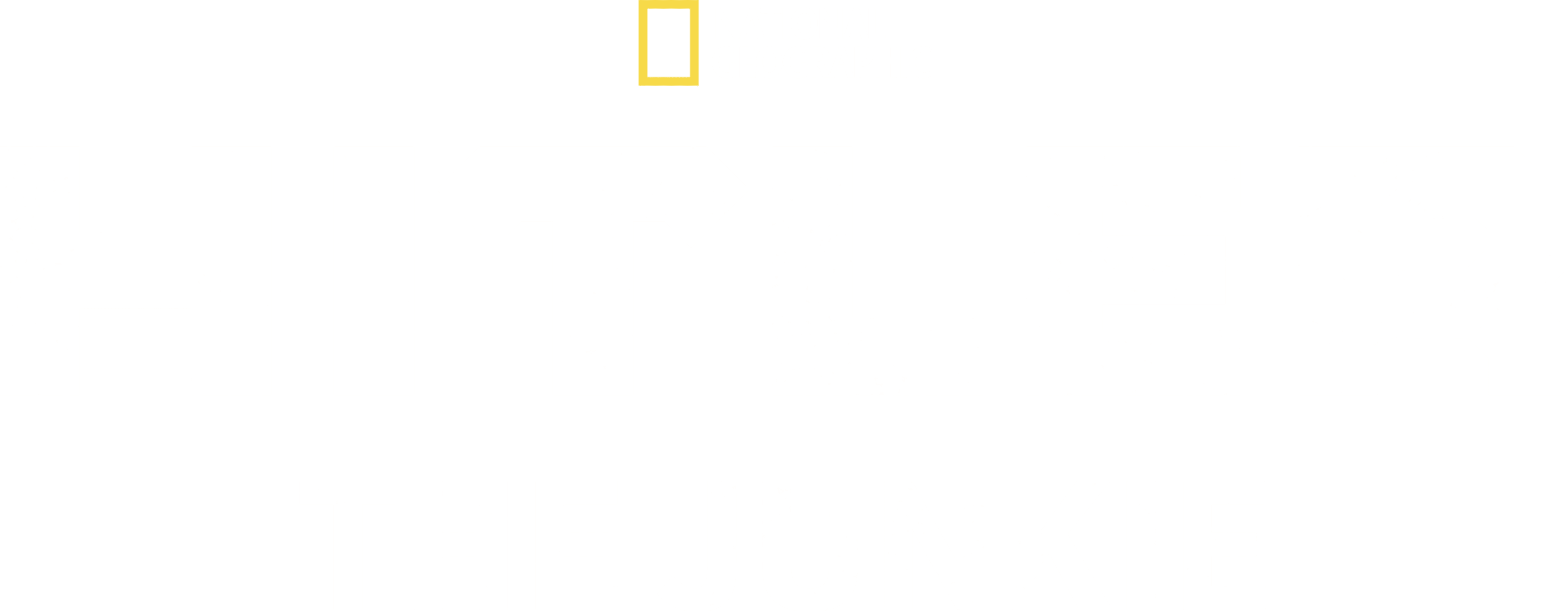 Hitler The Junkie logo