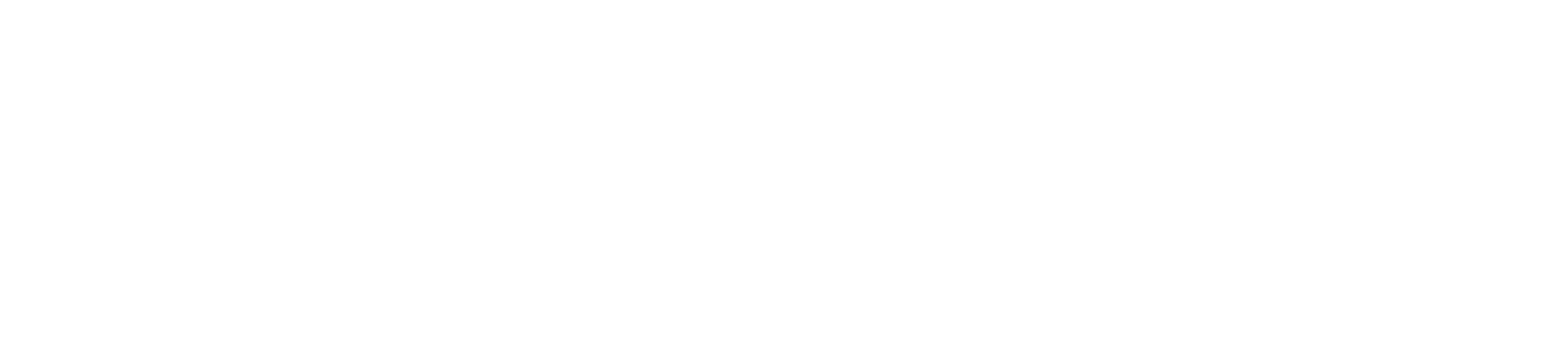 Fast Charlie logo