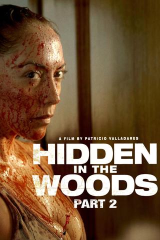 Hidden in the Woods 2 poster