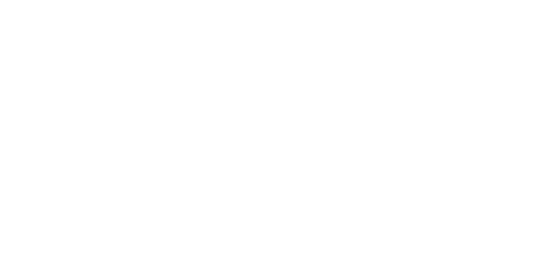 Silent Wedding logo