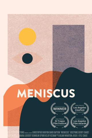 Meniscus poster