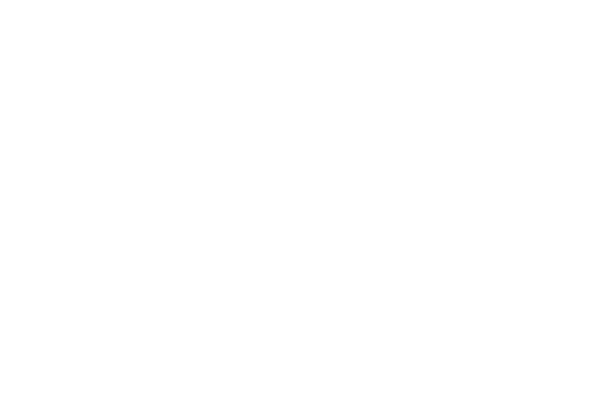 An Almost Ordinary Summer logo