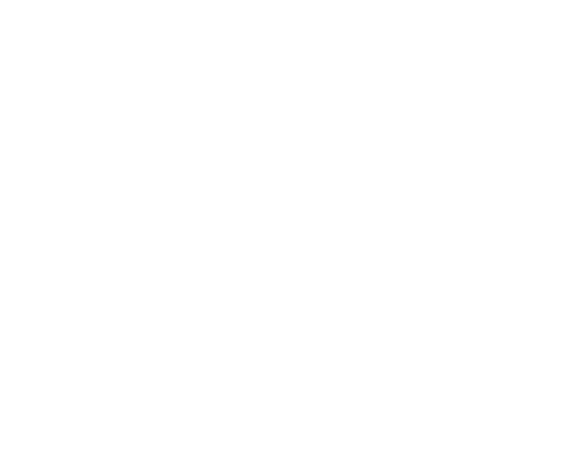 AMAIM Warrior at the Borderline logo