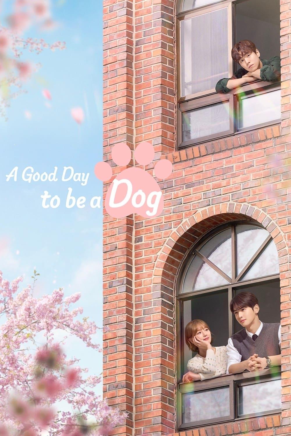 A Good Day to be a Dog poster