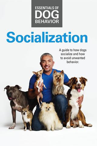 Essentials of Dog Behavior: Socialization poster