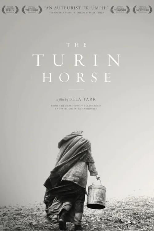 The Turin Horse poster