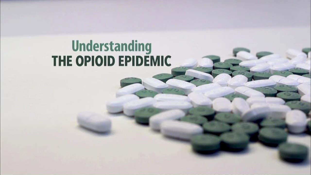 Understanding the Opioid Epidemic backdrop