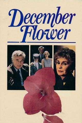 December Flower poster