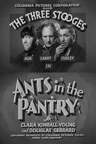 Ants in the Pantry poster
