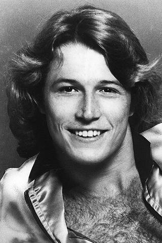 Andy Gibb pic