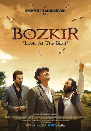 Bozkir "Look at the Birds" poster