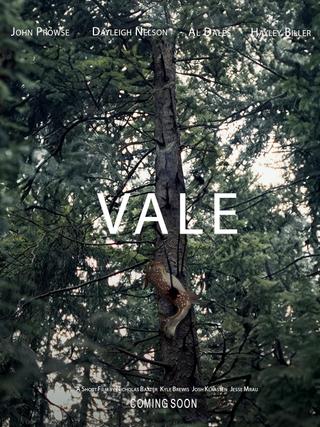 Vale poster