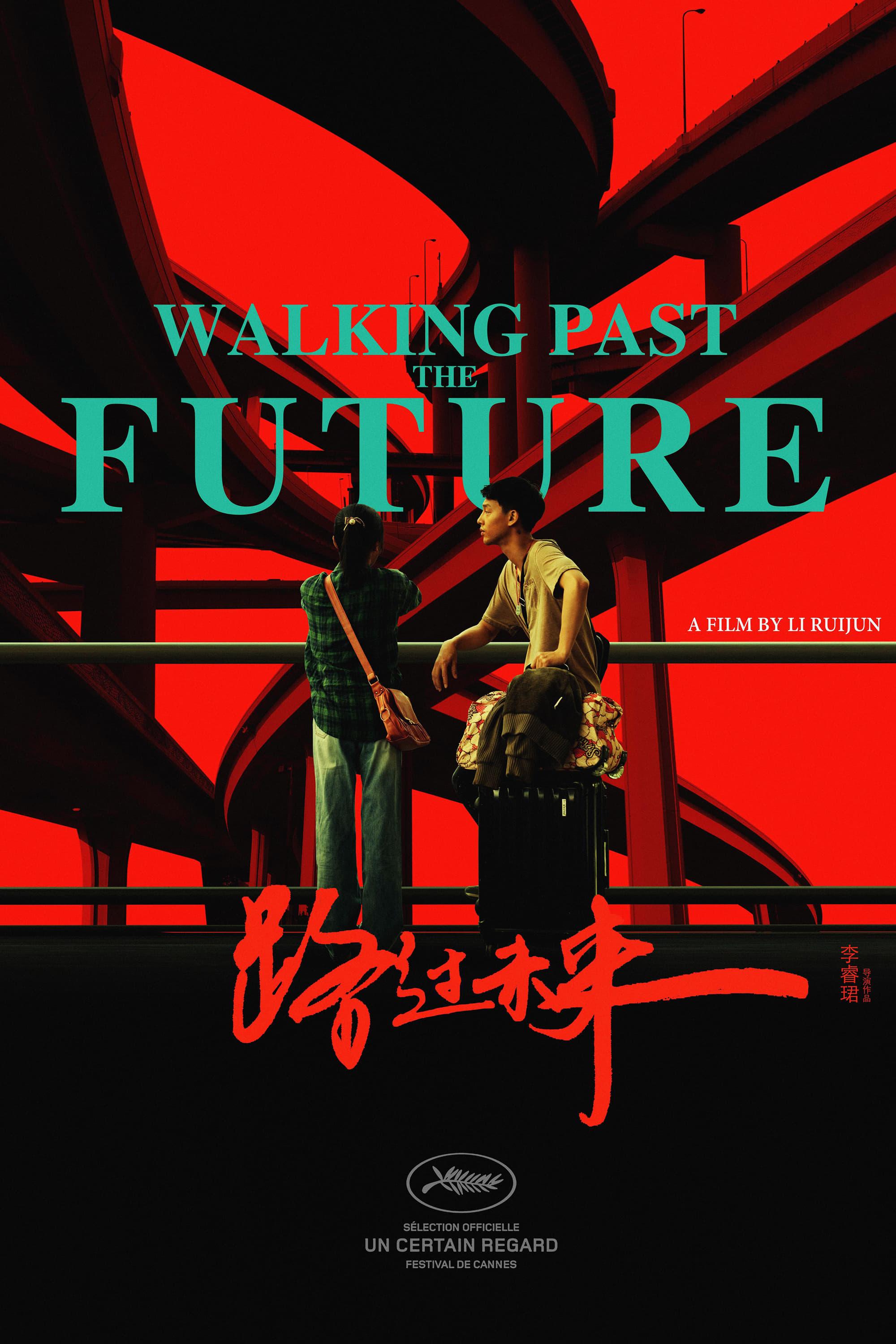 Walking Past the Future poster