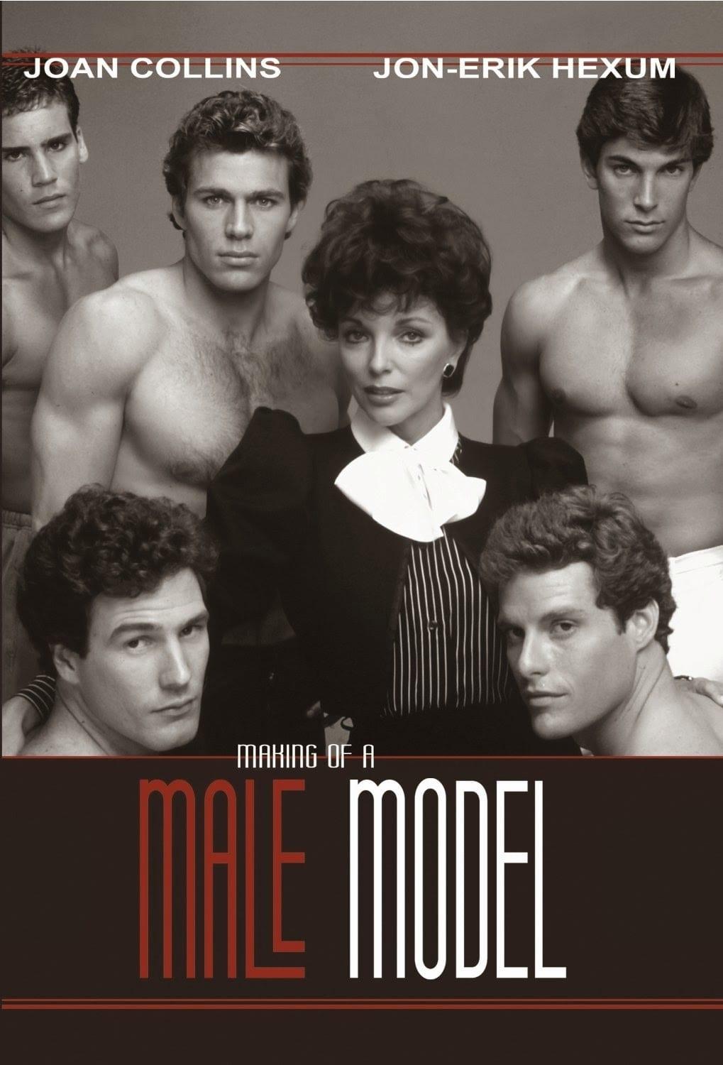 Making of a Male Model poster