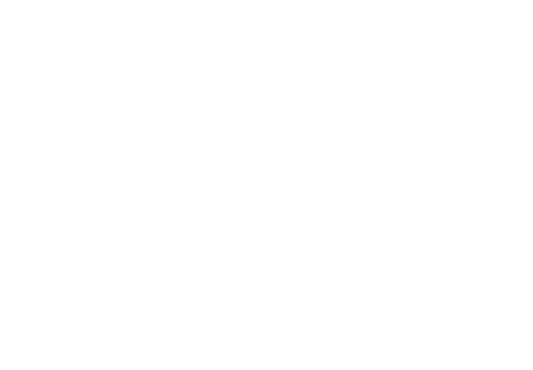The White Princess logo