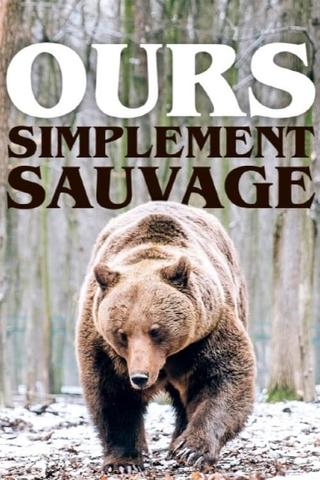 Ours, simplement sauvage poster
