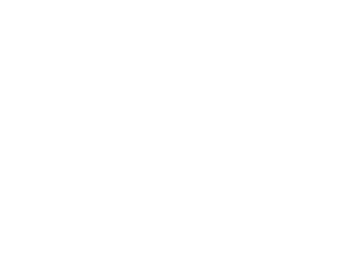 Big Time Adolescence logo