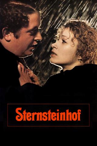 The Sternstein Manor poster