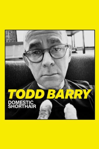 Todd Barry: Domestic Shorthair poster