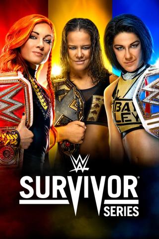 WWE Survivor Series 2019 poster