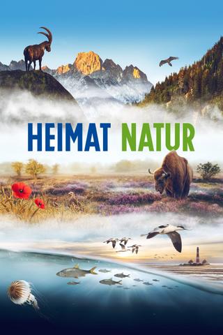 Homeland Nature poster