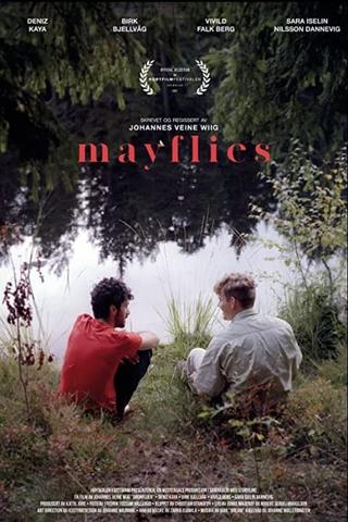 Mayflies poster