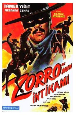 Zorro's Revenge poster