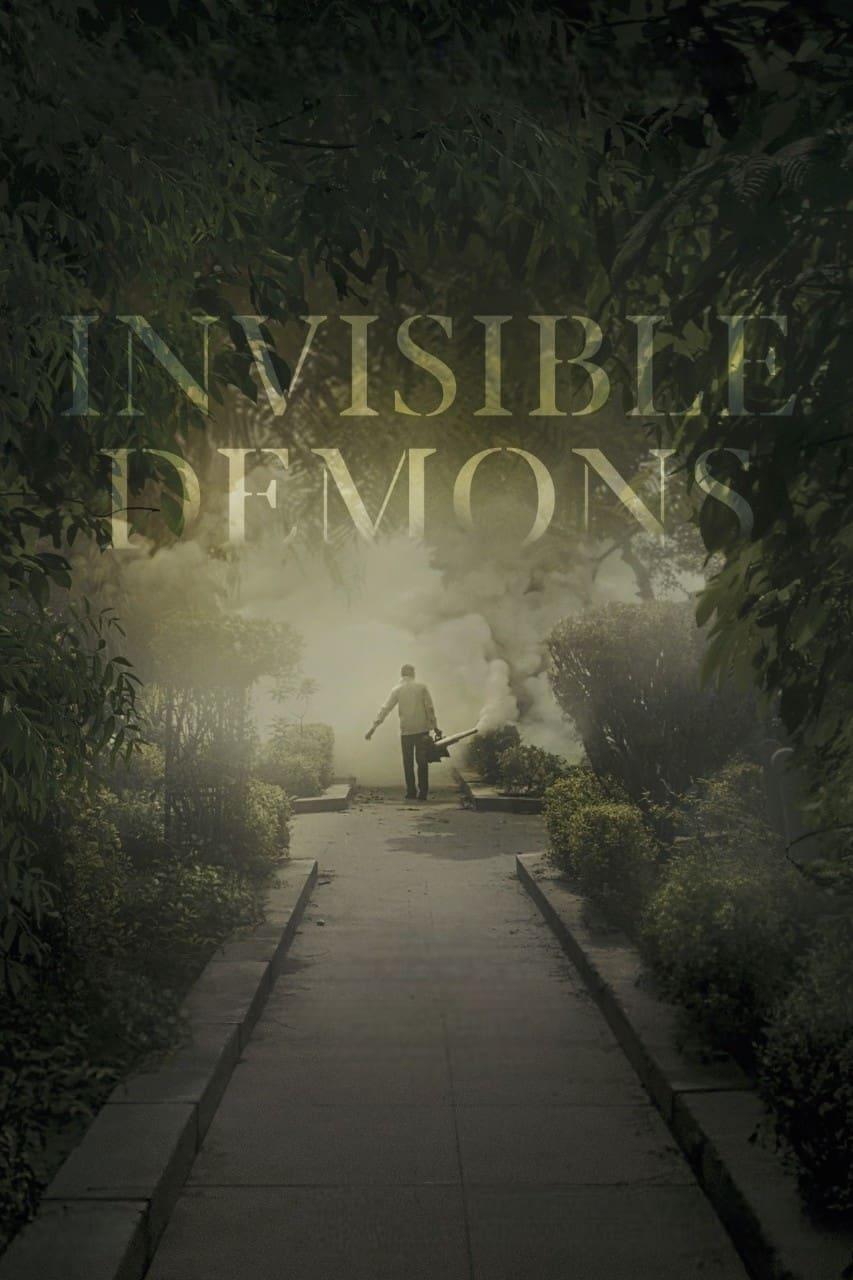 Invisible Demons poster