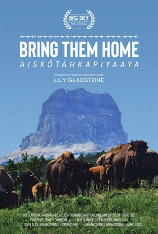 Bring Them Home poster