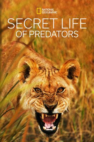 Secret Life of Predators poster