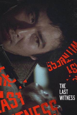 The Last Witness poster