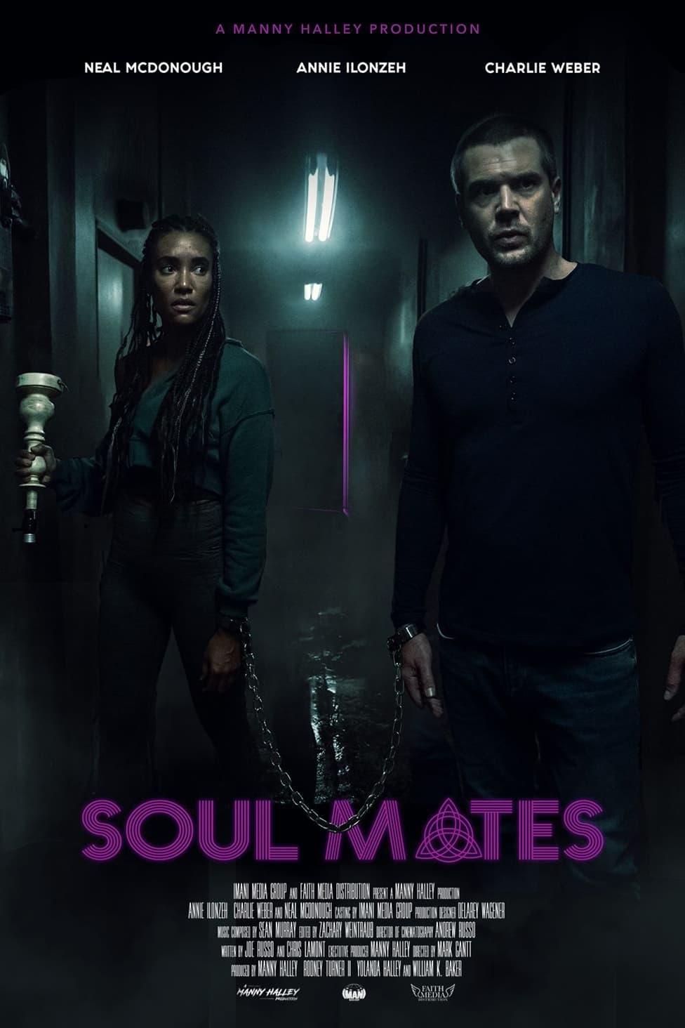 Soul Mates poster