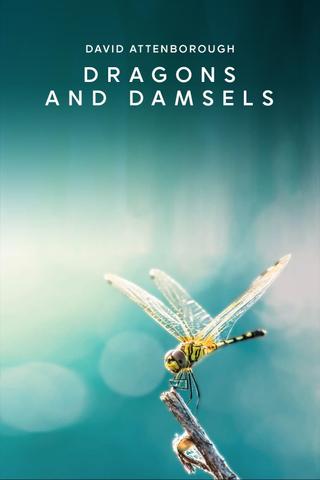 Dragons and Damsels poster