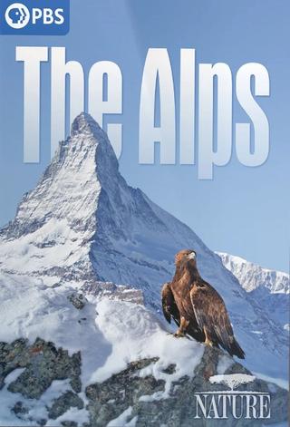 The Alps poster