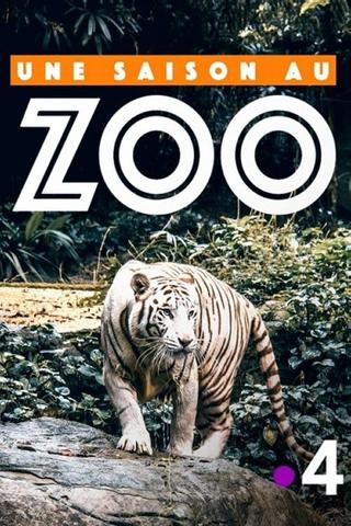 Une saison au zoo poster