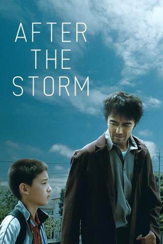 After the Storm poster