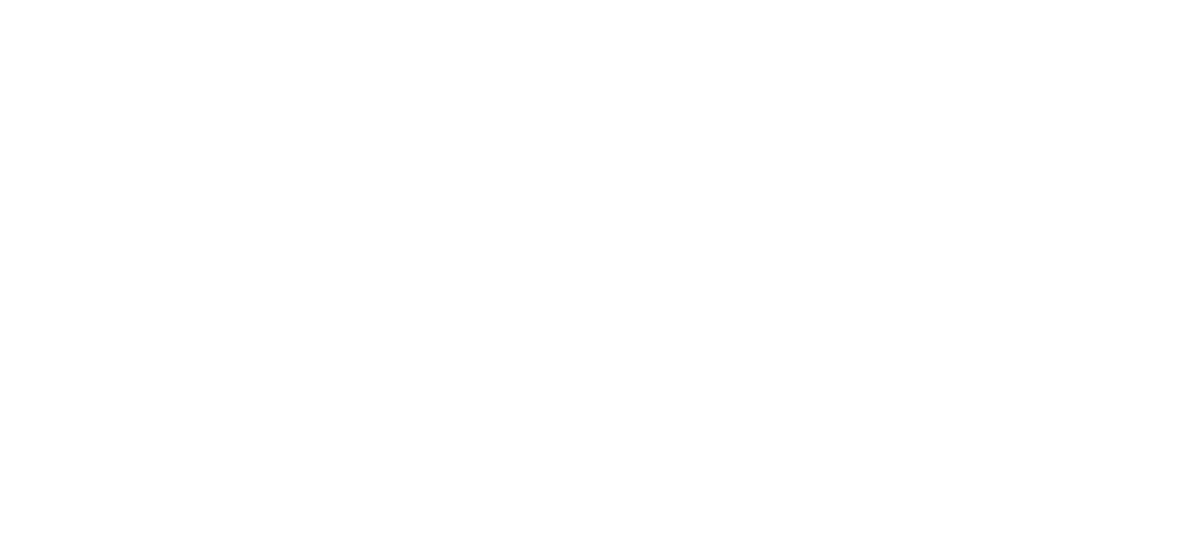 Lone Survivor logo