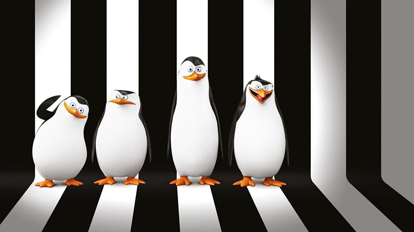 The Penguins of Madagascar: Operation Search and Rescue backdrop