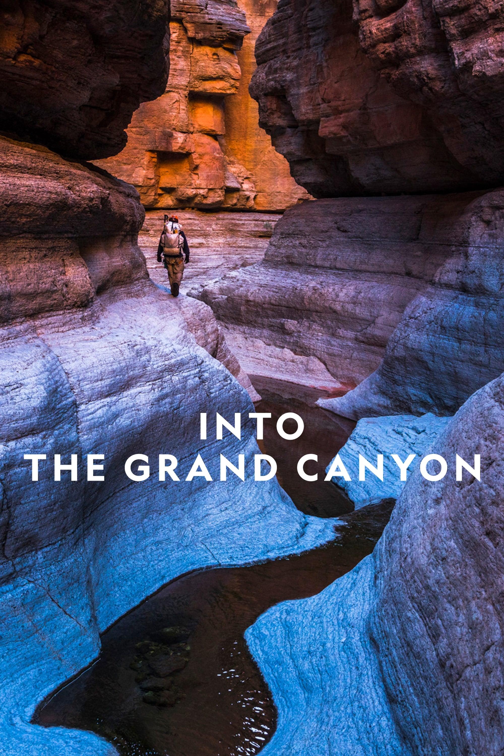 Into the Grand Canyon poster