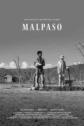 Malpaso poster
