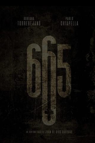 665 poster