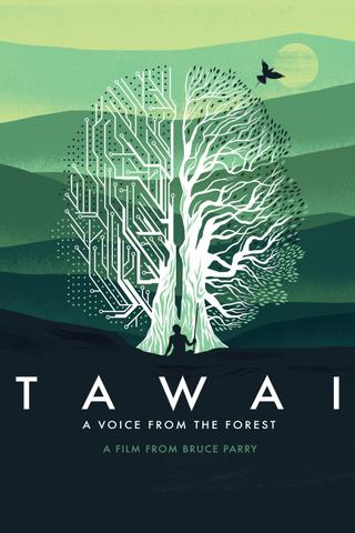 Tawai: A Voice from the Forest poster
