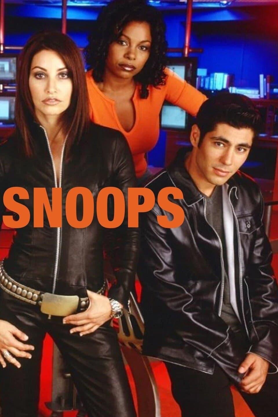 Snoops poster