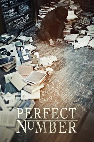 Perfect Number poster
