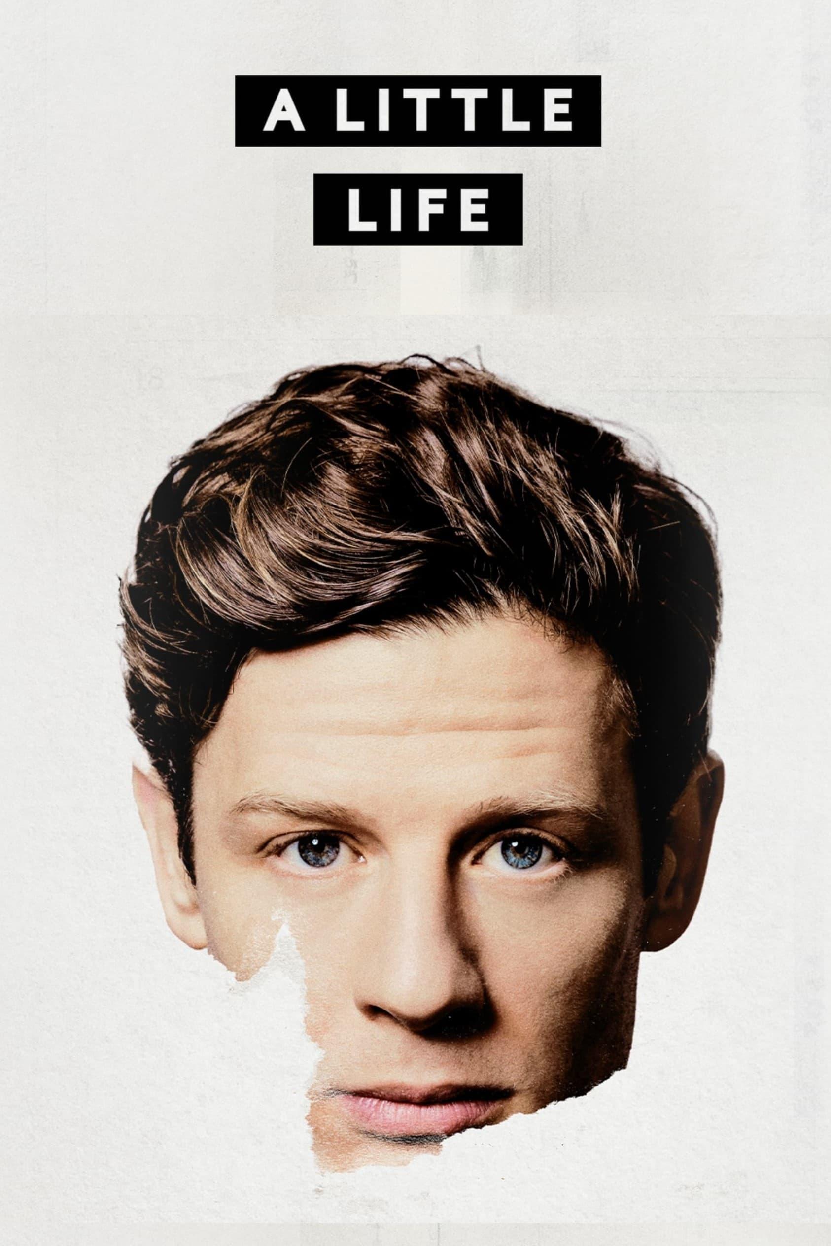 A Little Life poster